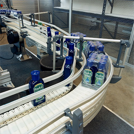 Flexible chain conveyor