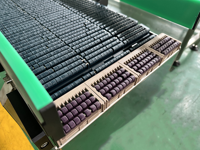 roller chain conveyor-12