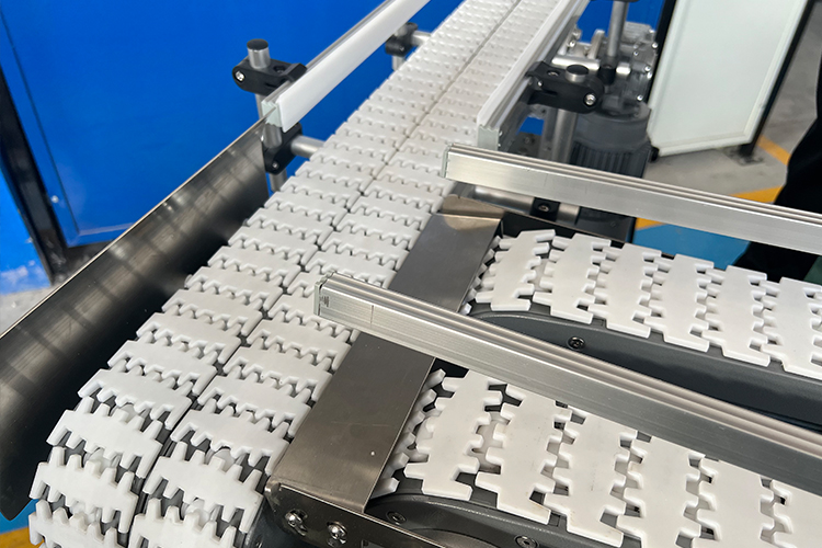 Chain conveyor