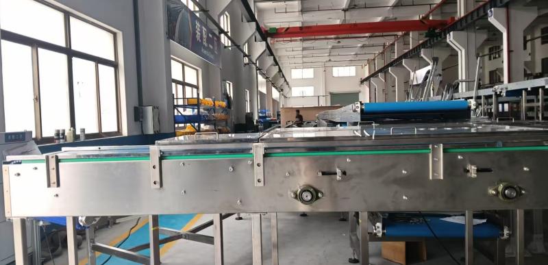 CS Conveyor’s Custom Buffer Table: Delivering Precision and Hygiene to Berlin’s Cosmetic Filling Line