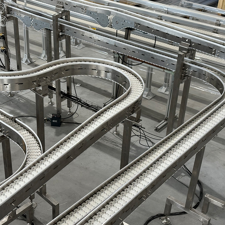 Flexible Chain Conveyor