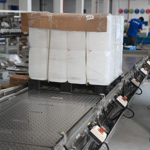 Control System for Heavy-Duty StainlessSteel Pallet Conveyor