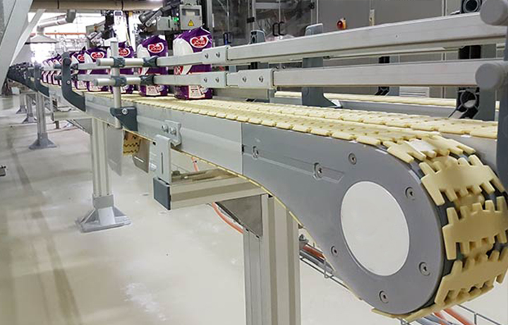 Packaging Industry Conveying