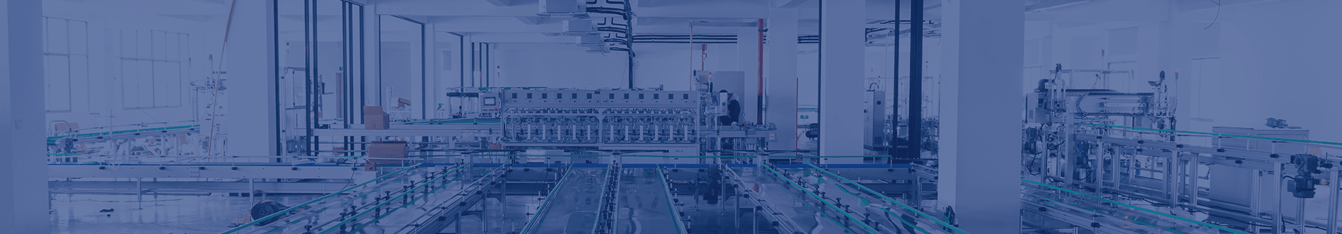 Beverage Industry Conveyor Systems I Plastic Chain & Wear Strip Solutions