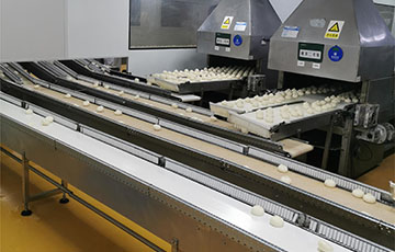 Food Grade Conveying