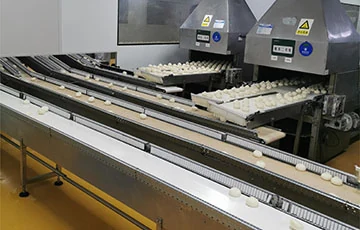 Food Grade Conveying