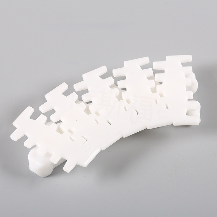 103 flexible chain conveyor1