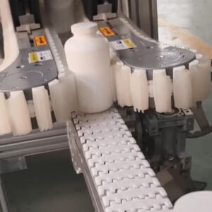 gripper chain conveyor`1