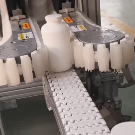 gripper chain conveyor`1