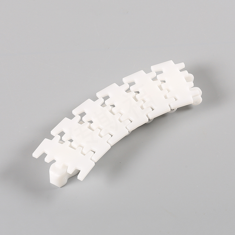 63 flexible chain conveyor1