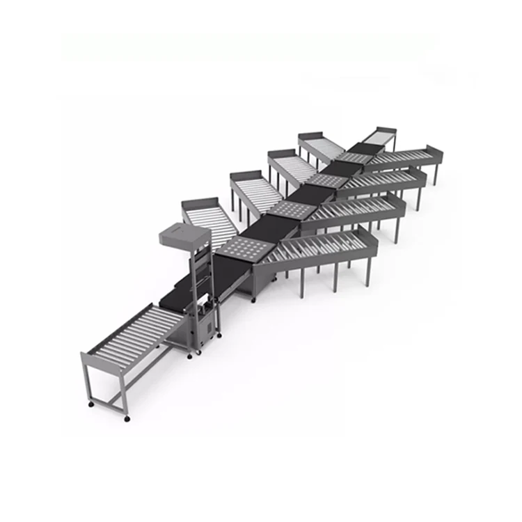 Types of Warehouse Automation-Logistics Sorting Conveyor Line